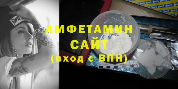 молекула духа Арсеньев