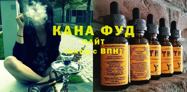 молекула духа Арсеньев