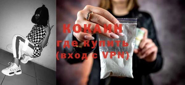 молекула духа Арсеньев