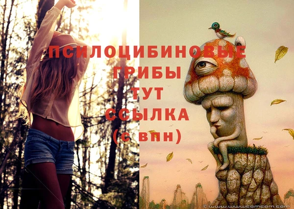 дмт Аркадак