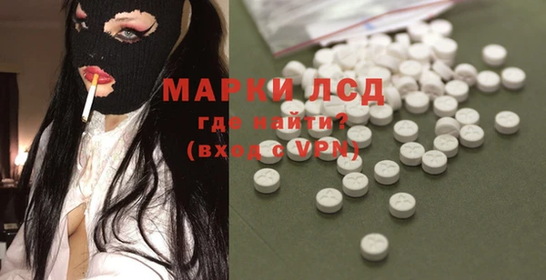 молекула духа Арсеньев