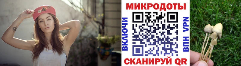 купить  сайты  KRAKEN ссылка  Галлюциногенные грибы Magic Shrooms  Балтийск 