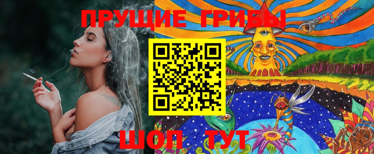 Балтийск  Псилоцибиновые грибы прущие грибы  Вход с VPN 