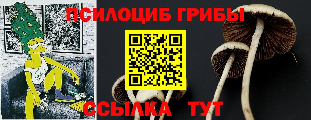 Галлюциногенные грибы GOLDEN TEACHER Балтийск